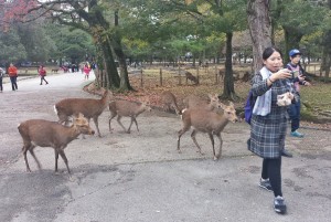 nara-japon