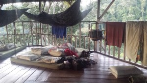 cabane arbres