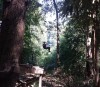 La Gibbon experience, ou ma vie de guenon dans la jungle